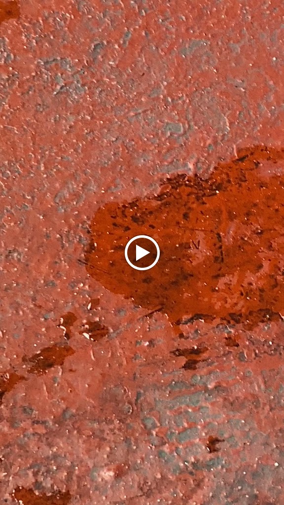 BP El Calero — Videos
