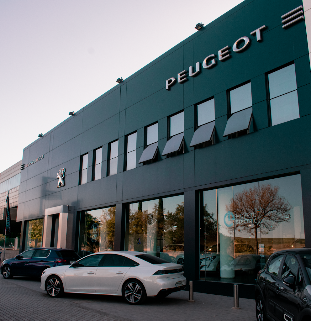 Peugeot Arcangel Motor