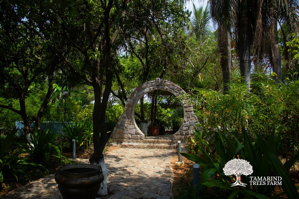 Tamarind Trees Farmhouse A Boutique Resort