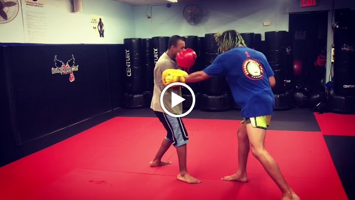  STONED mantis ATHLETICS Muaythai/kickboxing