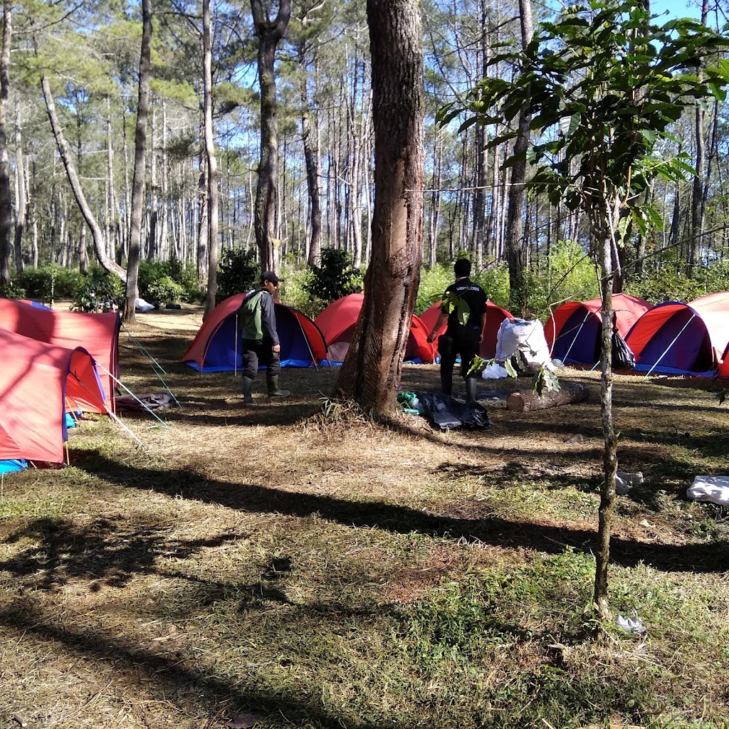 WIHELMINA WATES CAMP