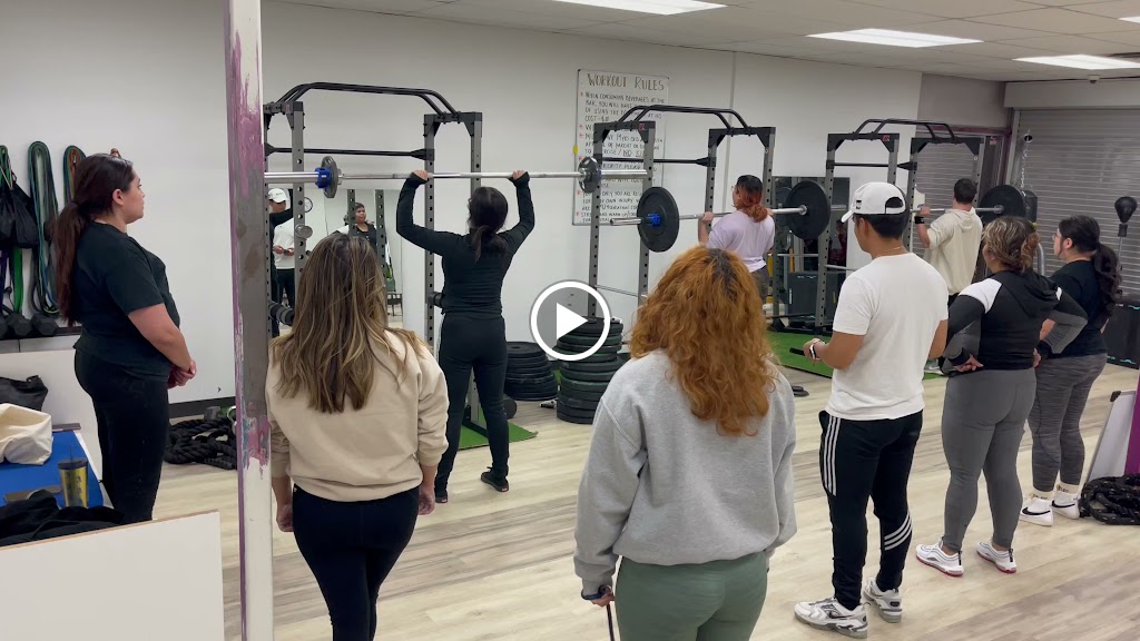  Herbalife Nutrition Club 924 Sensation