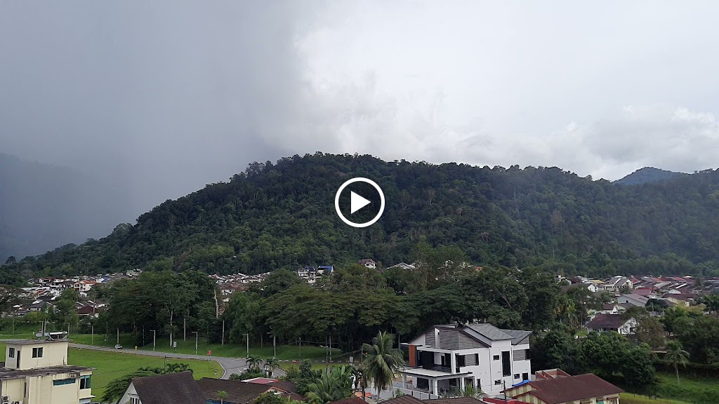Hutan Lipur Bukit Larut, Taiping