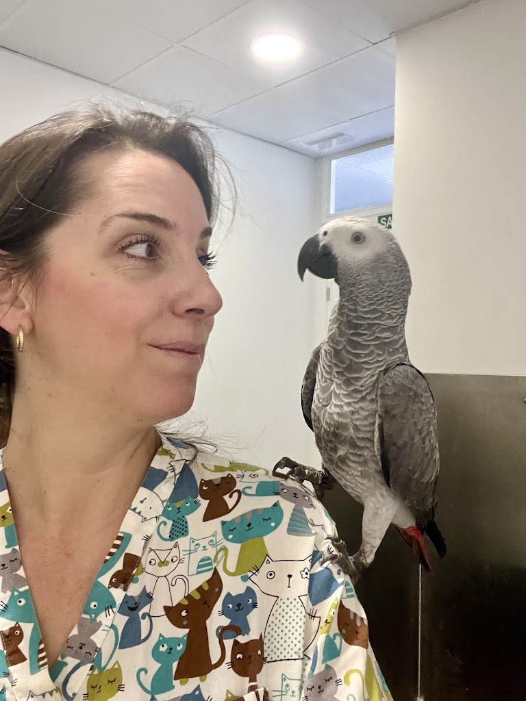 Clinica Veterinaria Okapi