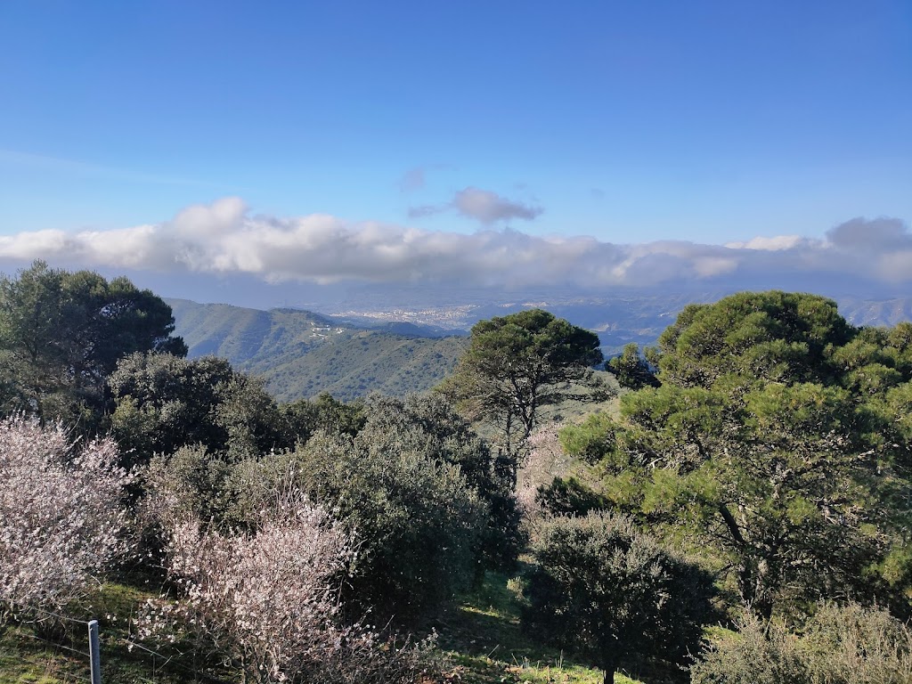 Pico Reina
