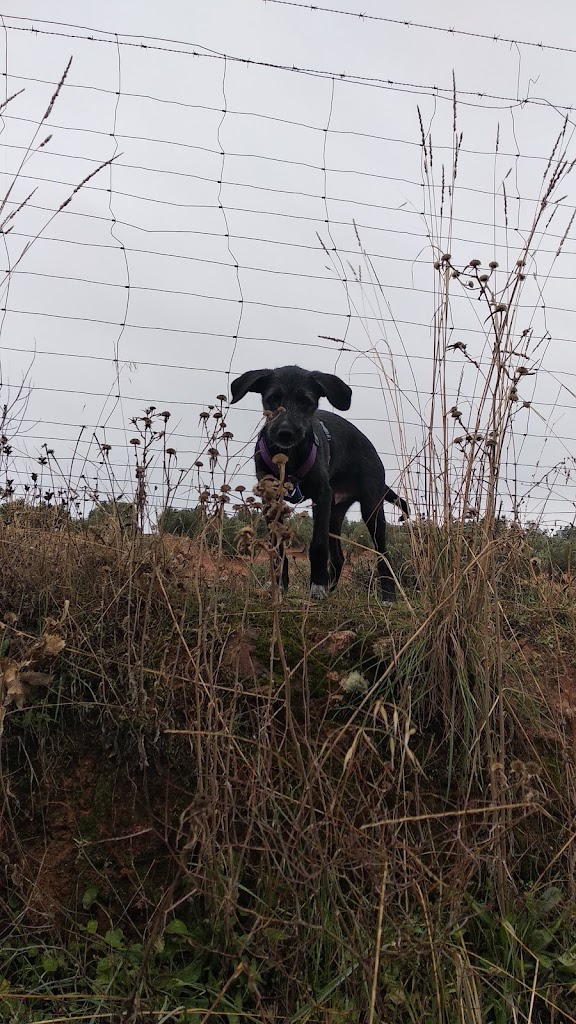 Circuito Runner de Tierra