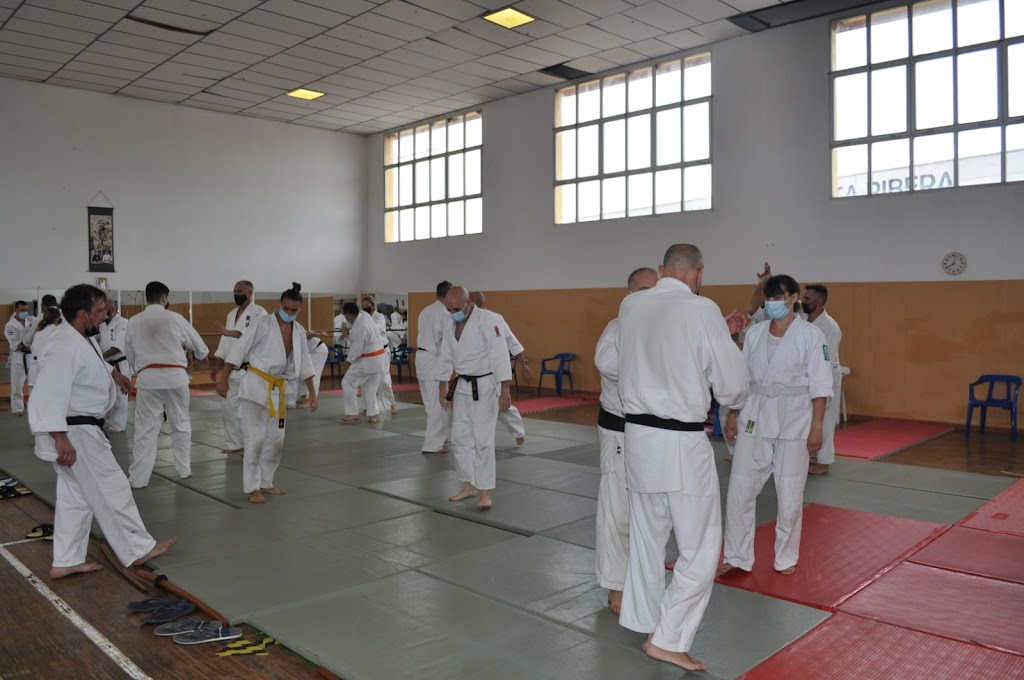 DAIKU SHIN DOJO - Escuela de Artes Marciales | Aikido y Defensa Personal