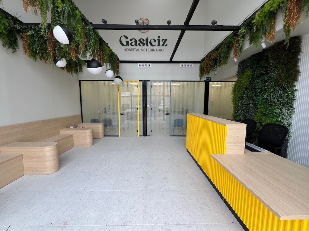 Hospital Veterinario Gasteiz — Del propietario