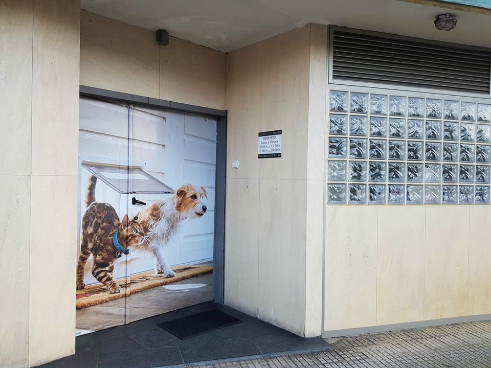 Clinica Veterinaria Sardinero