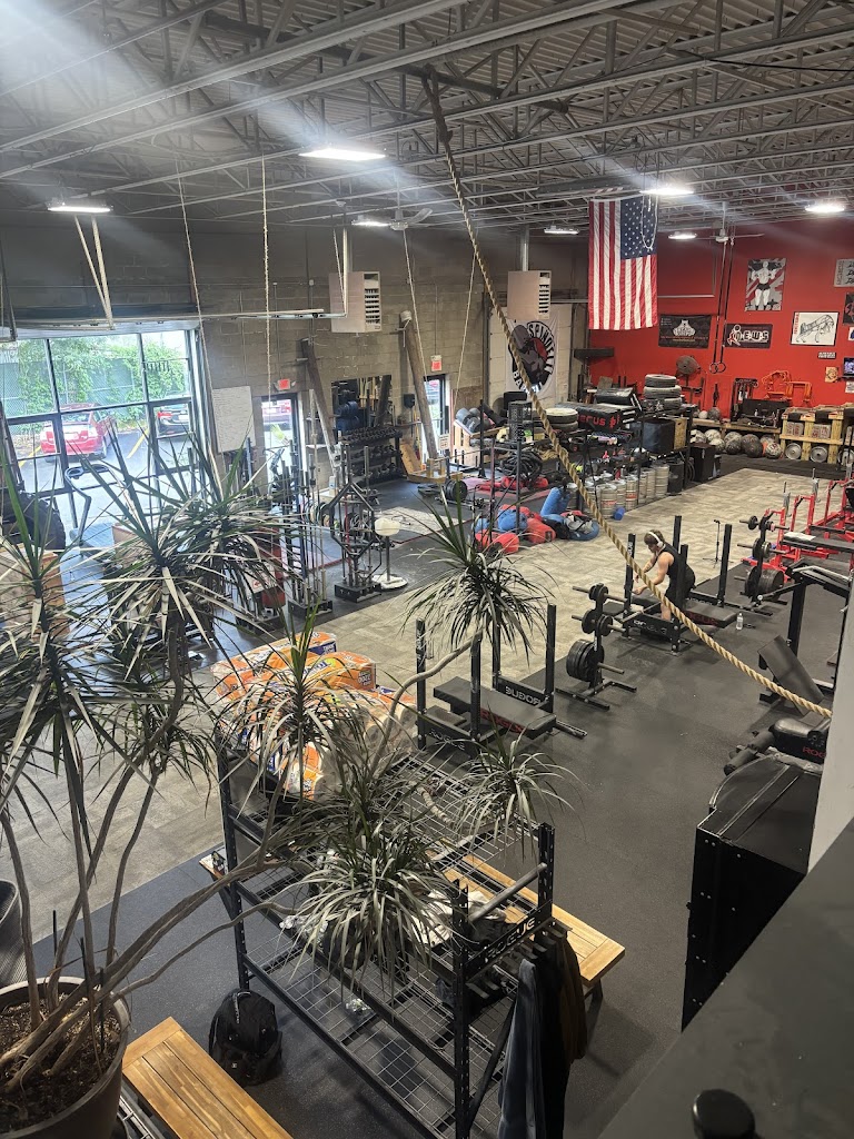  Spindell Barbell Club