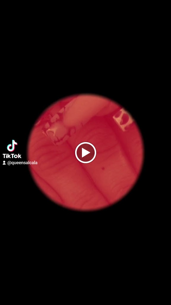 Queens peluqueria y estetica — Videos