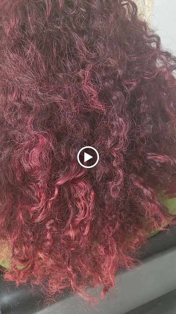 Peluqueria sandra — Videos