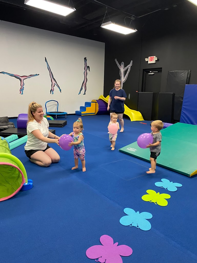  Star's Twirl and Tumble