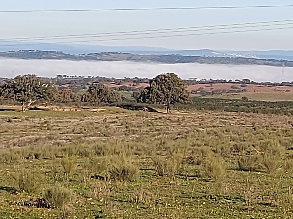 Ruta Mirador de las Vinas - Inicio de ruta
