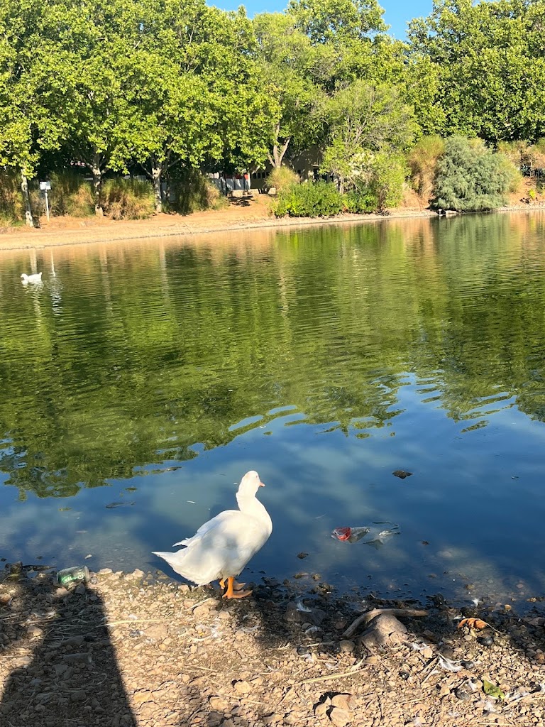 Parque Las Pocitas