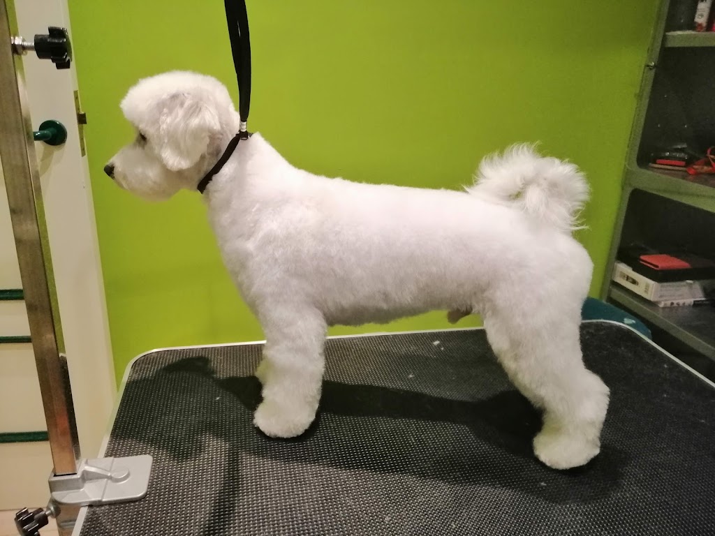 Clinica Veterinaria Alasthor — Del propietario