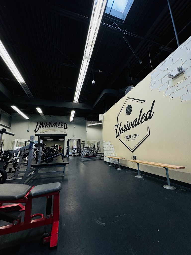 Unrivaled Iron Gym