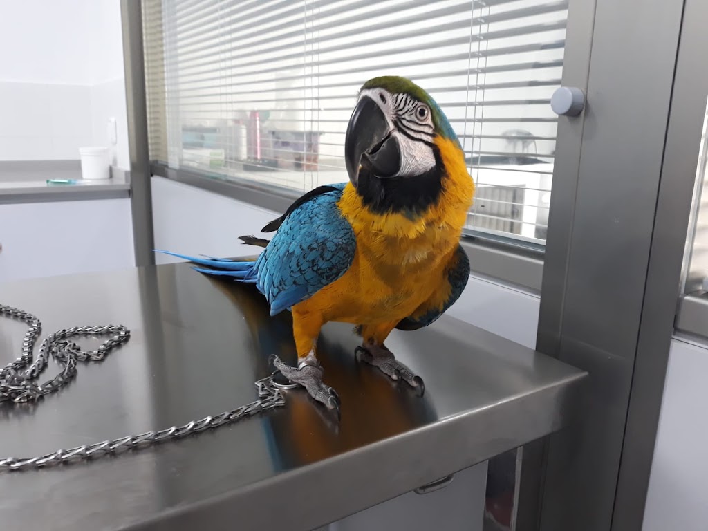 Clinica Veterinaria Puerta Del Sur — Del propietario