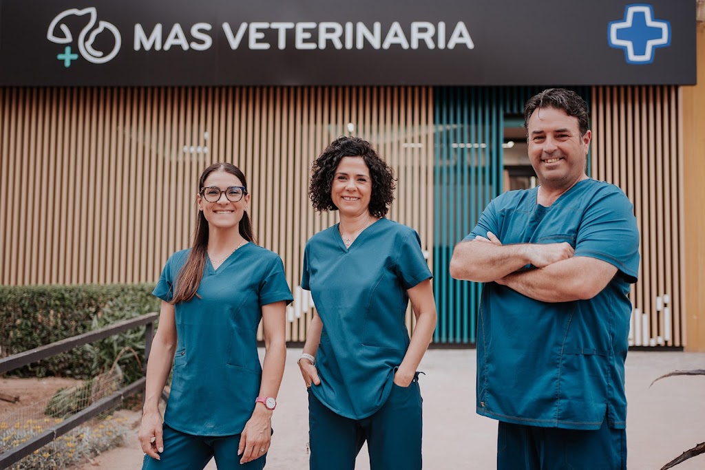 Mas Veterinaria