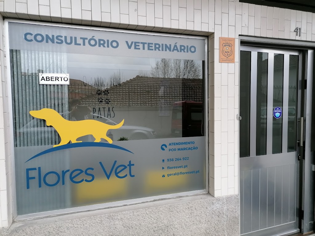 Flores Vet - Consultório Veterinário e Serviço Veterinário ao Domicílio na Região do Grande Porto em S. Cosme