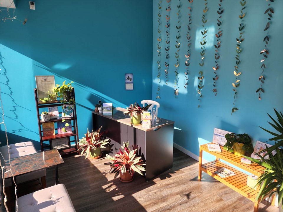  Body & Brain Yoga Tai Chi