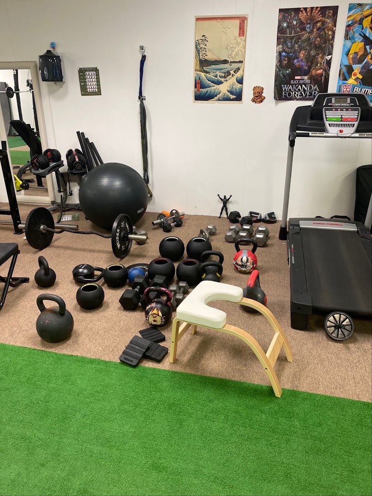  Rogue Force Training