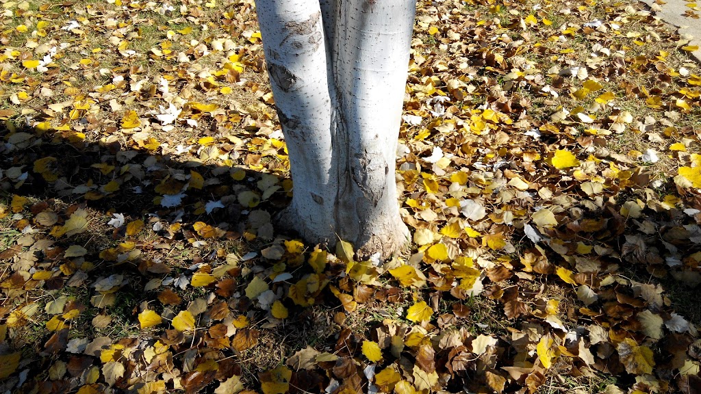 Jardines Mestres de Paterna