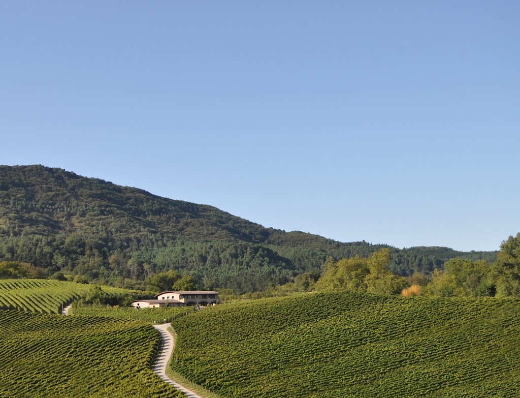 HIRUZTA BODEGA (Wine Shop)