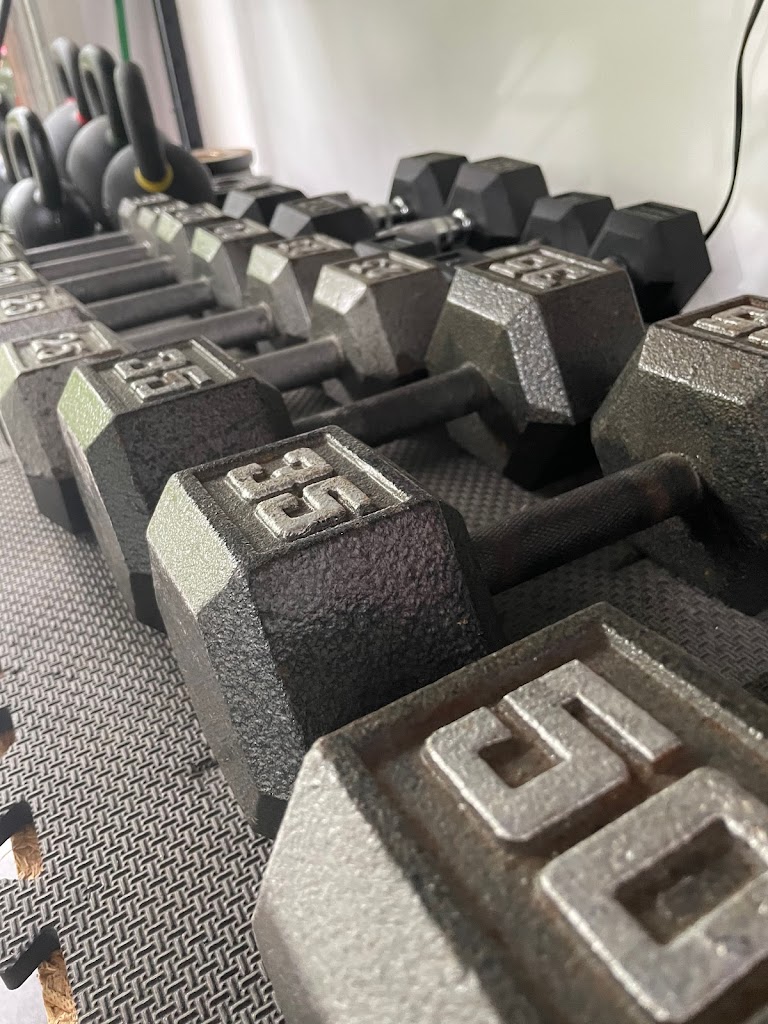  Movement Fitness Training