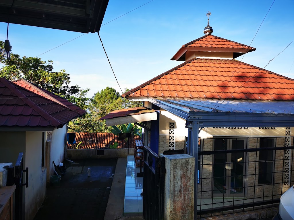 Pinus Camping Ground