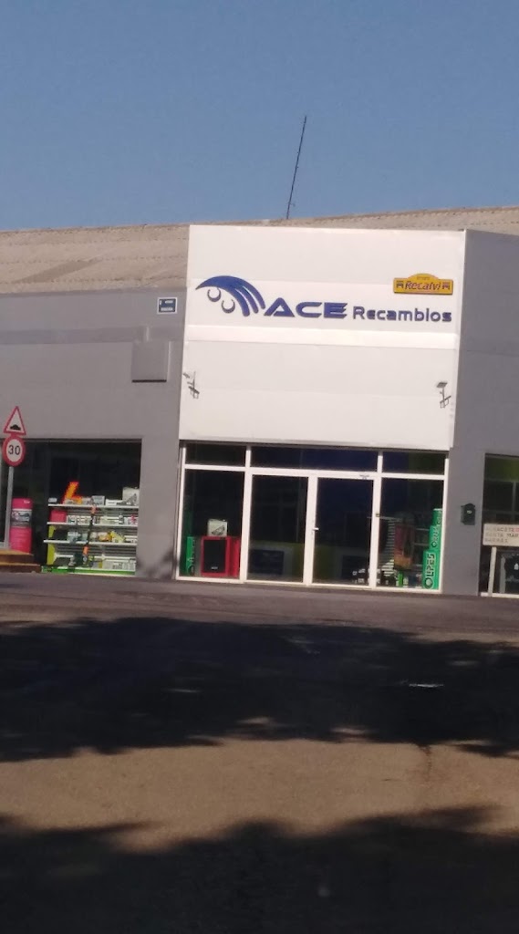 Ace Recambios,S.L.