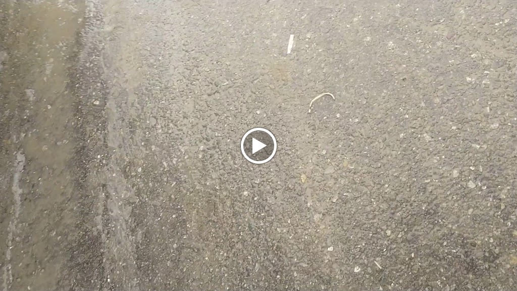 Videos