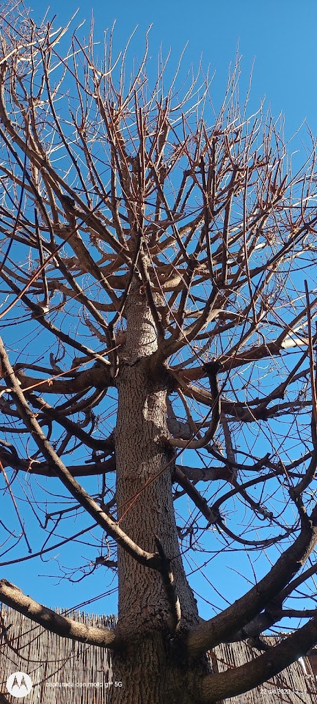 Parque Villas Monte Escorial