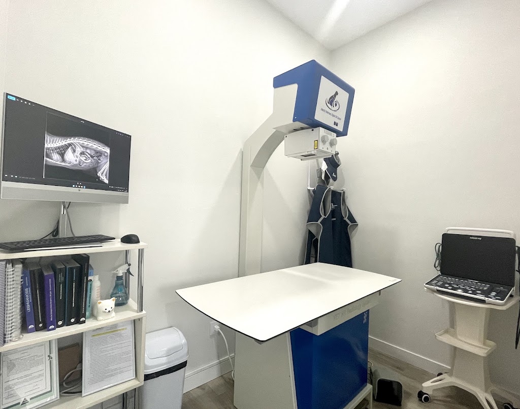 Clinica Veterinaria Tres Huellas — Del propietario
