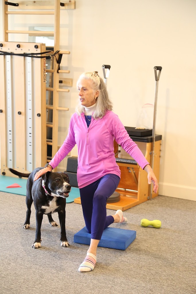  Ann Sabine: Healing Motion Pilates