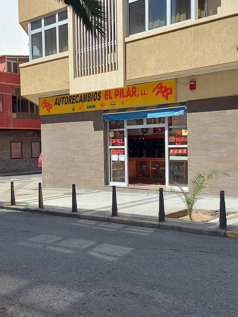 Auto Recambios el Pilar Sl
