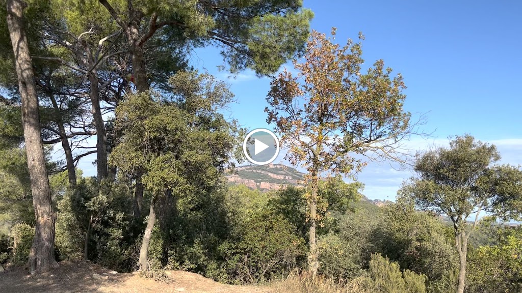 Mont Rodon — Videos