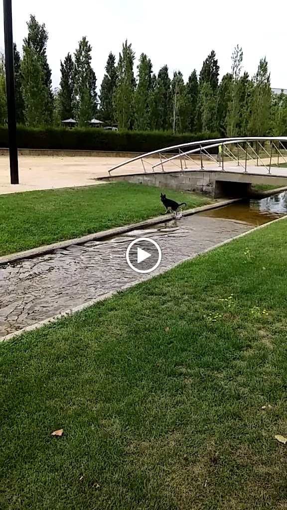Restaurante Parc Nou — Videos