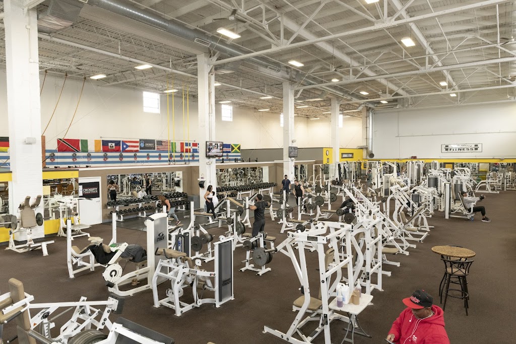  Personalized Fitness