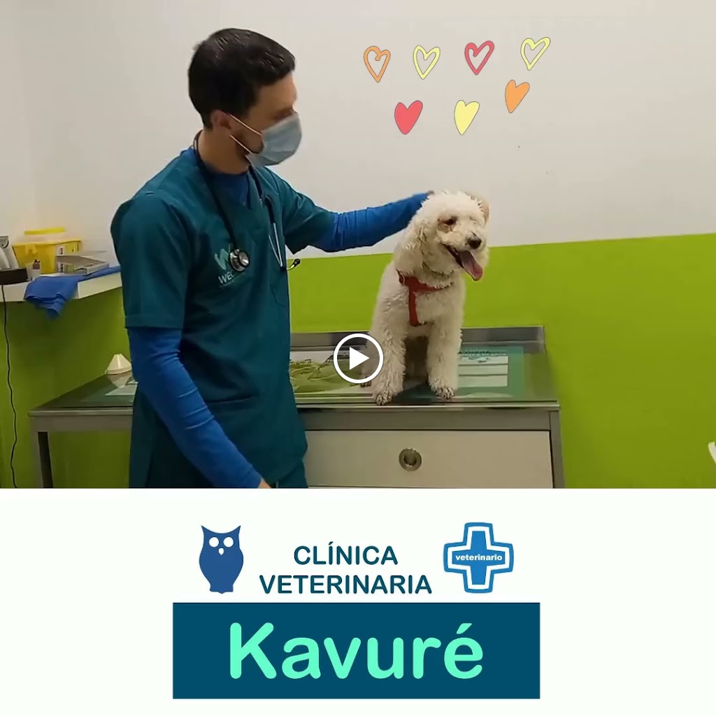 Clinica Veterinaria Kavure — Del propietario