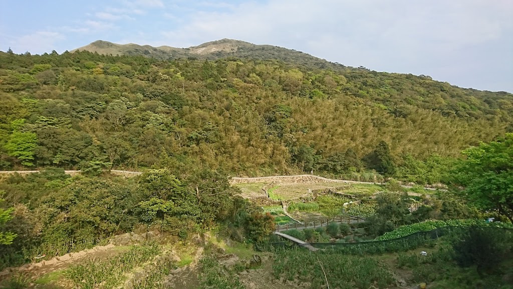 田園休閒餐廳 的照片