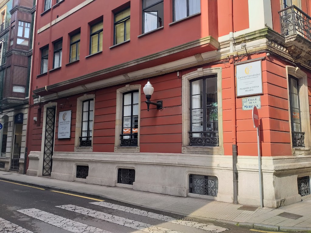 Centro de Estetica Integrada Carmen Fernandez