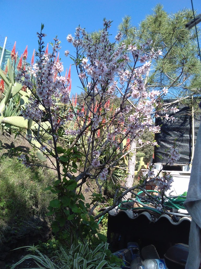 Motel Estacion Malgrat S A