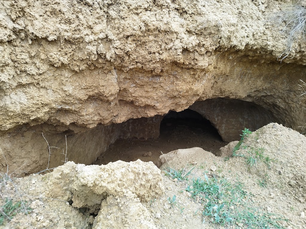 Cueva de San Martin