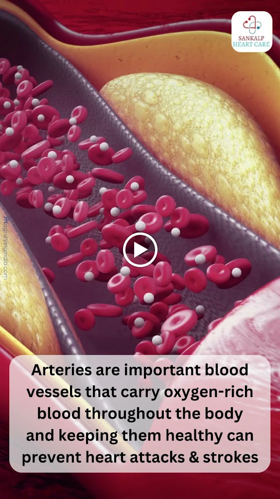 Dr. Dr Sankalp Sharma