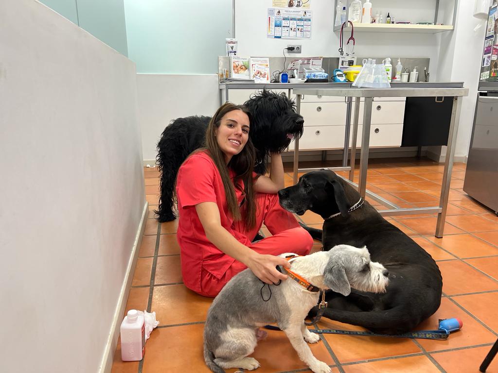 Clinica Veterinaria VETERCAN — Perro