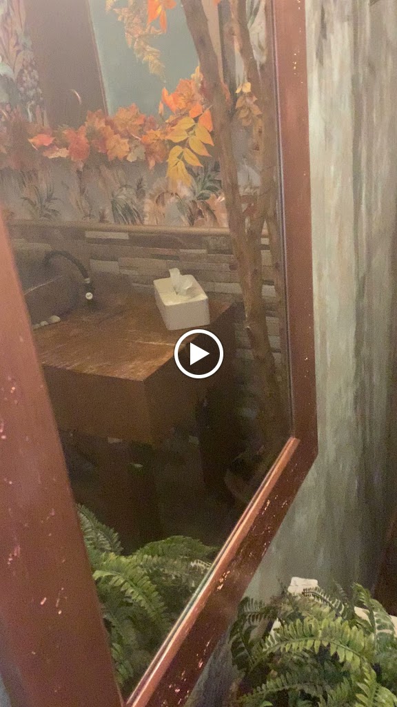 La Ermita Bar y Cafe — Videos