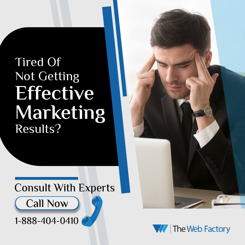 The Web Factory Digital Marketing Agency