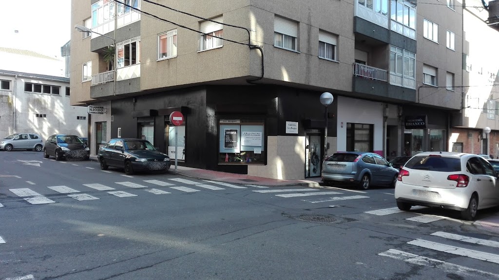 Academia los Bosques - Musica y Artes Plasticas