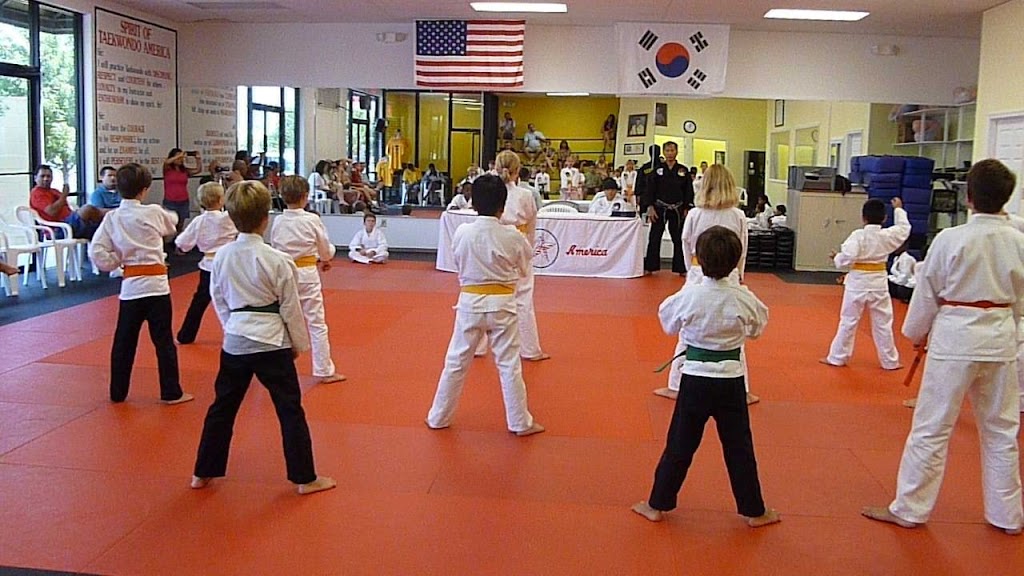  Human Engineer Taekwondo